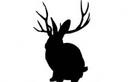 miike_snow