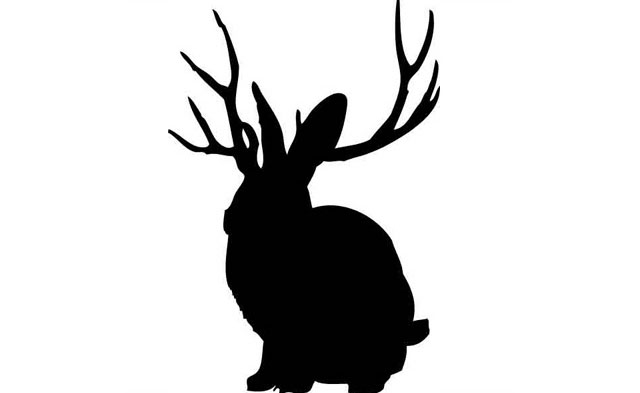 miike_snow